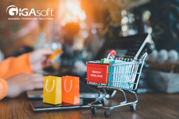 ecommerce-website-development-and-seo-services